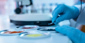 Industria nutracéutica