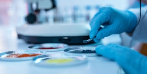 Industria nutracéutica